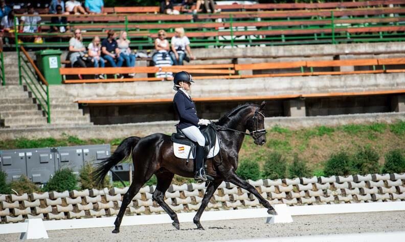 Ane Martin Ladron en el Cpto Europa de Doma Clásica Ponis en Kaposvar (Hungria)